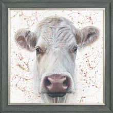 Load image into Gallery viewer, Lily with Splats