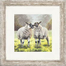 Load image into Gallery viewer, Yakkety Yak