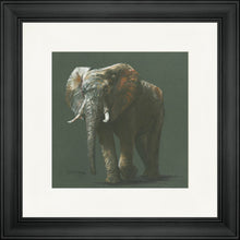 Load image into Gallery viewer, Esther Grey