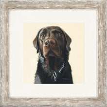 Load image into Gallery viewer, Amos