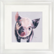 Load image into Gallery viewer, Pedro