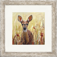 Load image into Gallery viewer, Phoebe