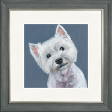 Load image into Gallery viewer, Finley