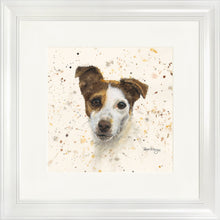 Load image into Gallery viewer, Jake