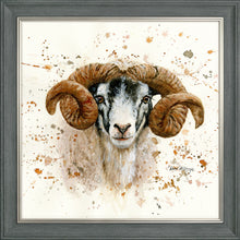 Load image into Gallery viewer, Sherman
