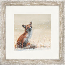 Load image into Gallery viewer, Foy