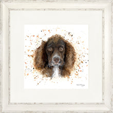 Load image into Gallery viewer, Coco