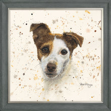 Load image into Gallery viewer, Jake