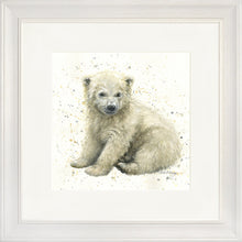 Load image into Gallery viewer, Pennington