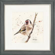 Load image into Gallery viewer, Gordon