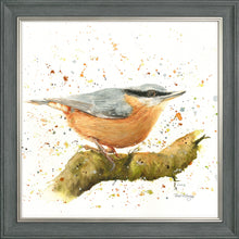 Load image into Gallery viewer, Nesbit