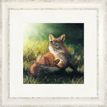 Load image into Gallery viewer, Finn