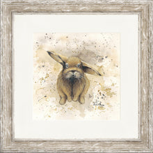 Load image into Gallery viewer, Colourful Benji