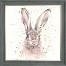 Load image into Gallery viewer, Halo