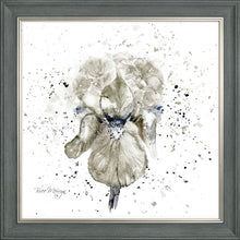Load image into Gallery viewer, Grey Iris
