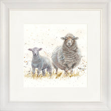 Load image into Gallery viewer, Ewe Beauties