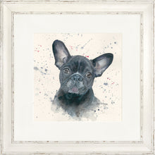 Load image into Gallery viewer, Fifi