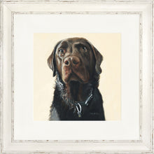 Load image into Gallery viewer, Amos