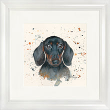 Load image into Gallery viewer, Sid