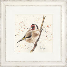 Load image into Gallery viewer, Gordon