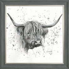 Load image into Gallery viewer, Donal