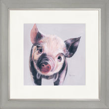 Load image into Gallery viewer, Pedro