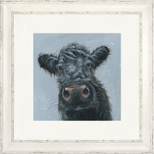 Load image into Gallery viewer, Madge