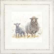 Load image into Gallery viewer, Ewe Beauties