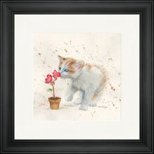 Load image into Gallery viewer, Fizz