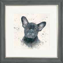 Load image into Gallery viewer, Fifi
