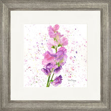 Load image into Gallery viewer, Sweet Peas