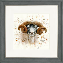 Load image into Gallery viewer, Sherman
