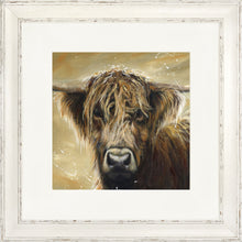 Load image into Gallery viewer, Colourful Hamish
