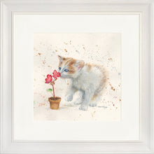 Load image into Gallery viewer, Fizz