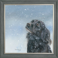 Load image into Gallery viewer, Sasha