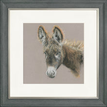 Load image into Gallery viewer, Dolores