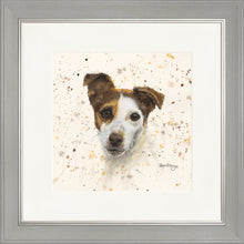 Load image into Gallery viewer, Jake