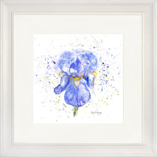 Load image into Gallery viewer, Blue Iris
