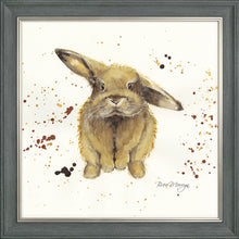 Load image into Gallery viewer, Benji