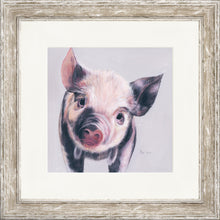 Load image into Gallery viewer, Pedro