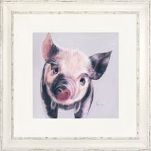 Load image into Gallery viewer, Pedro