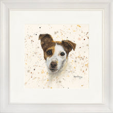 Load image into Gallery viewer, Jake