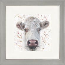 Load image into Gallery viewer, Lily with Splats