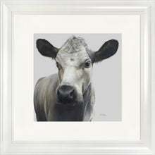 Load image into Gallery viewer, Misty
