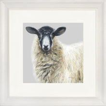 Load image into Gallery viewer, Shelley