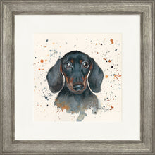 Load image into Gallery viewer, Sid