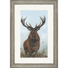 Load image into Gallery viewer, Sinclair