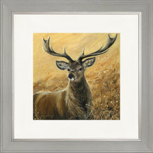 Load image into Gallery viewer, Sterling