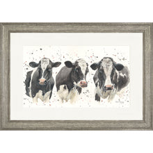 Load image into Gallery viewer, We are not Amoooosed