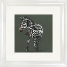 Load image into Gallery viewer, Zoe Grey